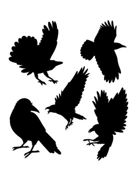 Crow bird poultry flying animal silhouette