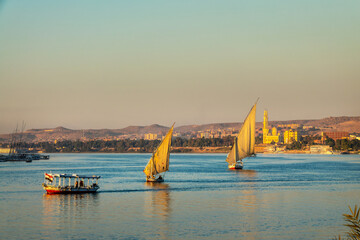 Feluccas (traditinal egyptian sailing boats) on the Nile river at sunset  in Aswan, Egypt - 769681665