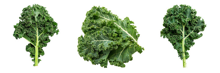 Set of a kale on a transparent background