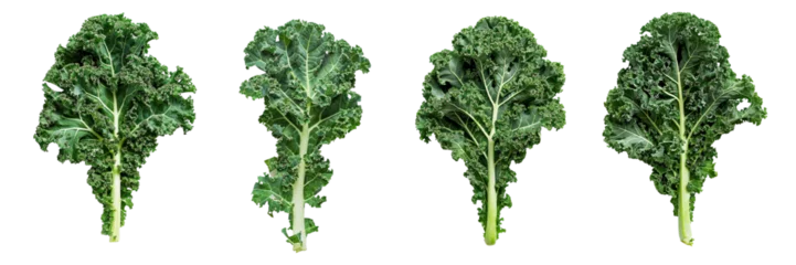 Poster Set of a kale on a transparent background © Wajed