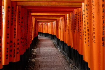 Poster Torii Gates Fushimi Inari Area © steve