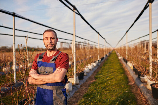 Portrait of a farmer in a blueberries organic farm.