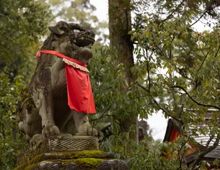 Afwasbaar fotobehang Torii Gates Fushimi Inari Area © steve