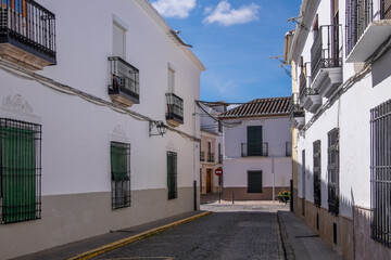 Antiguas casas señoriales en el pueblo de Almagro en la provincia de Ciudad Real, Castilla la Mancha, España
