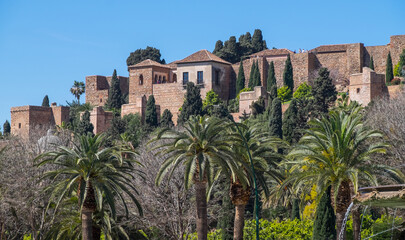 Paisaje con palmeras y vista de la Alcazaba de Málaga, Andalucía, España
