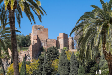 Palmeras y restos arqueológicos de la Alcazaba de Málaga, Andalucía, España