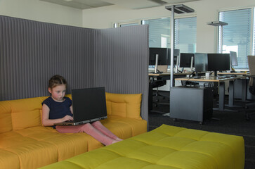 Child, Laptop, Office, Yellow Sofa