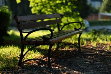 Wooden park bench is positioned in a sunlit garden, with a picturesque park in the background.