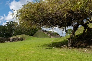 Fototapeta na wymiar Altun Ha historical landmark and ruins in in Rockstone Pond, Belize surrounded by lush trees