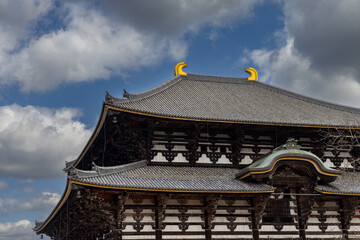 Todaiji Temple and shrines