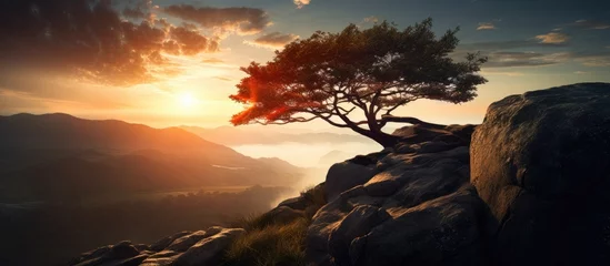 Fotobehang A tree is perched on a rocky hill at sunset, with the sky painted in hues of orange and pink. Cumulus clouds drift lazily in the horizon, creating a picturesque natural landscape © pngking