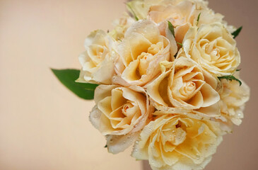 Bouquet of delicate cream roses on a beige-brown background
