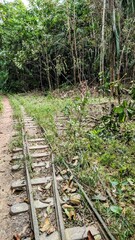 BAGNE DES ANNAMITES - MONTSINERY-TONNEGRANDE (Guyane)