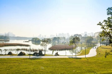 a walkway that leads to the water in a park next to trees