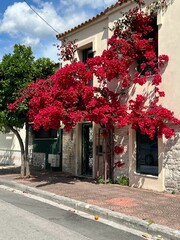 Picturesque building with vibrant red flowers decorating the entrance.
