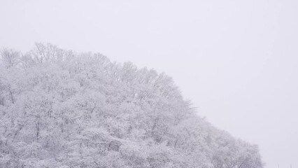 雪が降る　01