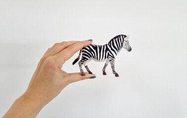 Woman holding a plastic zebra toy against a plain white wall