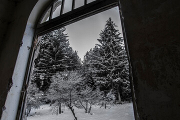 Capture the poignant aftermath of the war with this photo showcasing destroyed old houses in a...