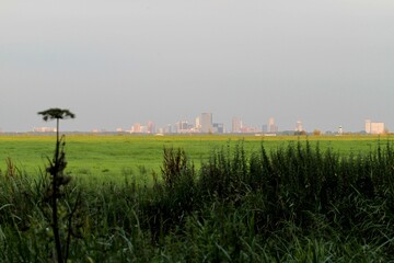 Skyline of of a city seen from the polder land - obrazy, fototapety, plakaty