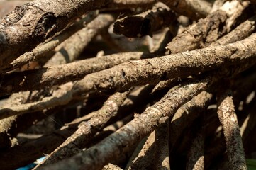 Closeup shot of an organized pile of wooden sticks