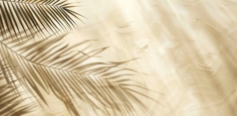 Light beige background with palm shadows