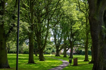 Park with a paved pathway winding between the trees.