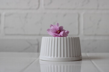 delicate pink flower on a white stand, on a white background,