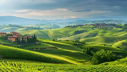 Foto op Plexiglas Picturesque Italian Vineyard Landscape with Rolling Green Hills and Cypress Trees © Maksym