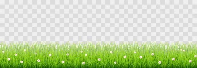 Fotobehang Green vector grass isolated on png background. Spring green grass, lawn. Summer nature decoration © Leonid