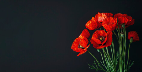 Red Poppy Bouquet Isolated On a Pure Black Background With Copy Space, Flowers On The Right Side, Symbol For Remembrance