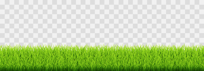Green vector grass isolated on png background. Spring green grass, lawn. Summer nature decoration - obrazy, fototapety, plakaty
