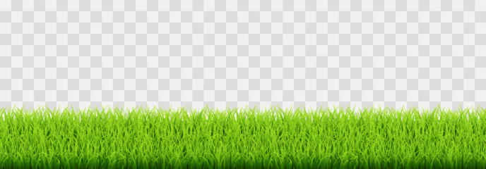 Poster Green vector grass isolated on png background. Spring green grass, lawn. Summer nature decoration © Leonid