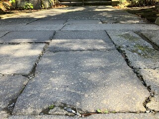 石畳に映る葉陰