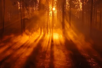 Foto auf Glas Sun shines through trees in forest, creating a fiery sunrise with mist-covered landscape © Ilia Nesolenyi