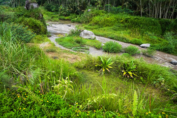 Murky River stream surrounded by meadows on the mountain hills during overcast. Concept for International Day of Forest, World Environment Day.