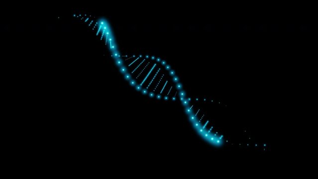 A simple DNA molecule double helix model consisting of small glowing blue neon dots, light bulbs isolated on a black background. Looped animation 4k 60 fps.
