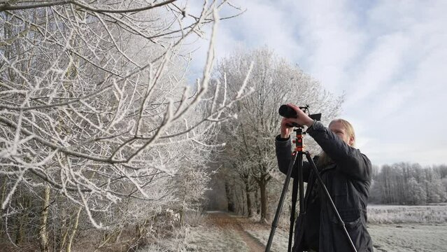 Caucasian photographer male setting the camera with a tripod shooting snowy trees
