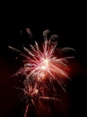 Bright firework explosion in the dark night sky