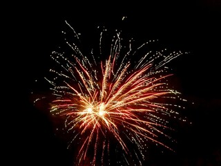 Obraz premium Bright firework explosion in the dark night sky