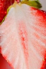 Closeup shot of details on the inside of a sliced strawberry
