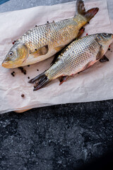 Fresh fish carp on paper, and black granite background
