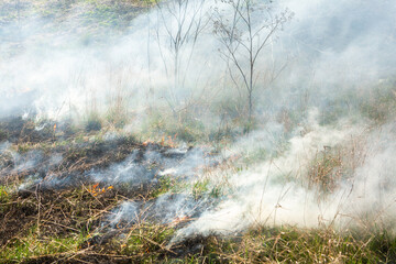 Burning dry grass in the field after the fire. Natural disaster. Forest fire.