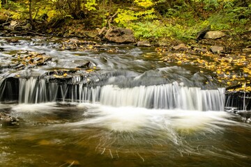 Stream cascading through a forest at Ricketts Glen State Park in Pennsylvania, USA
