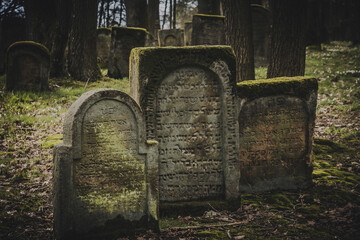 Alter jüdischer Friedhof in Oberfranken, Deutschland in Bayern im Frühling - 769742262
