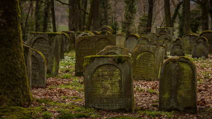 Alter jüdischer Friedhof in Oberfranken, Deutschland in Bayern im Frühling - 769742264