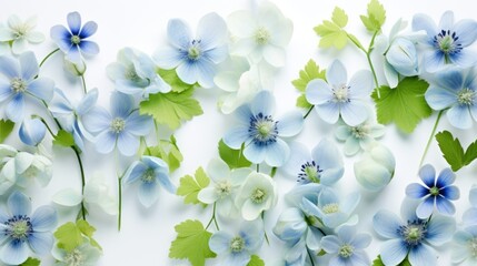 Background of a mix of delicate blue aconite blossoms and fresh green leaves