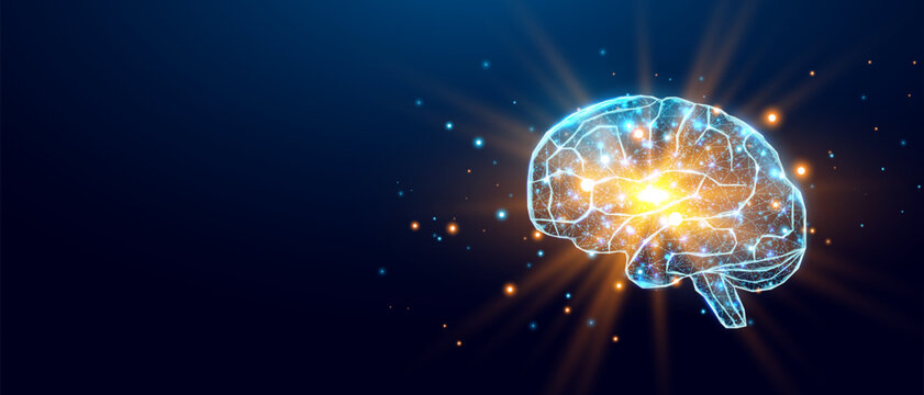 Human brain. Wireframe low poly style. Concept for medical, brain cancer, neural network.  Abstract modern 3d vector illustration on dark blue background.