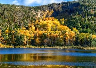 View of autumn colored trees on the shore of Beaver Damn Pond near Bar Harbor, Maine