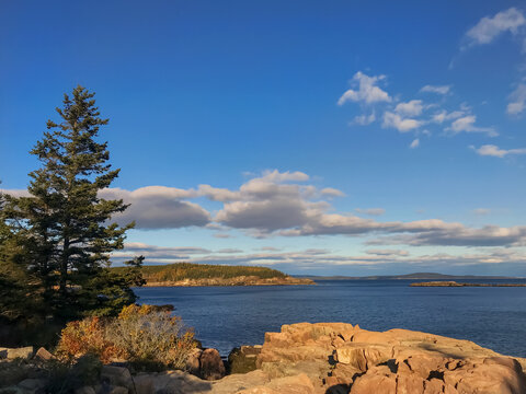Bright rocks and pine trees overlooking the Gulf of Maine
