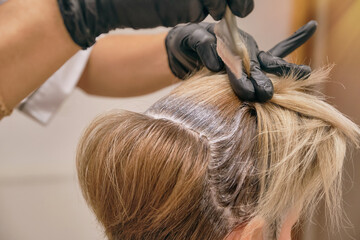 Fototapeta premium The hairdresser dyes the hair of the client. Tinting hair in a salon. Shallow depth of field